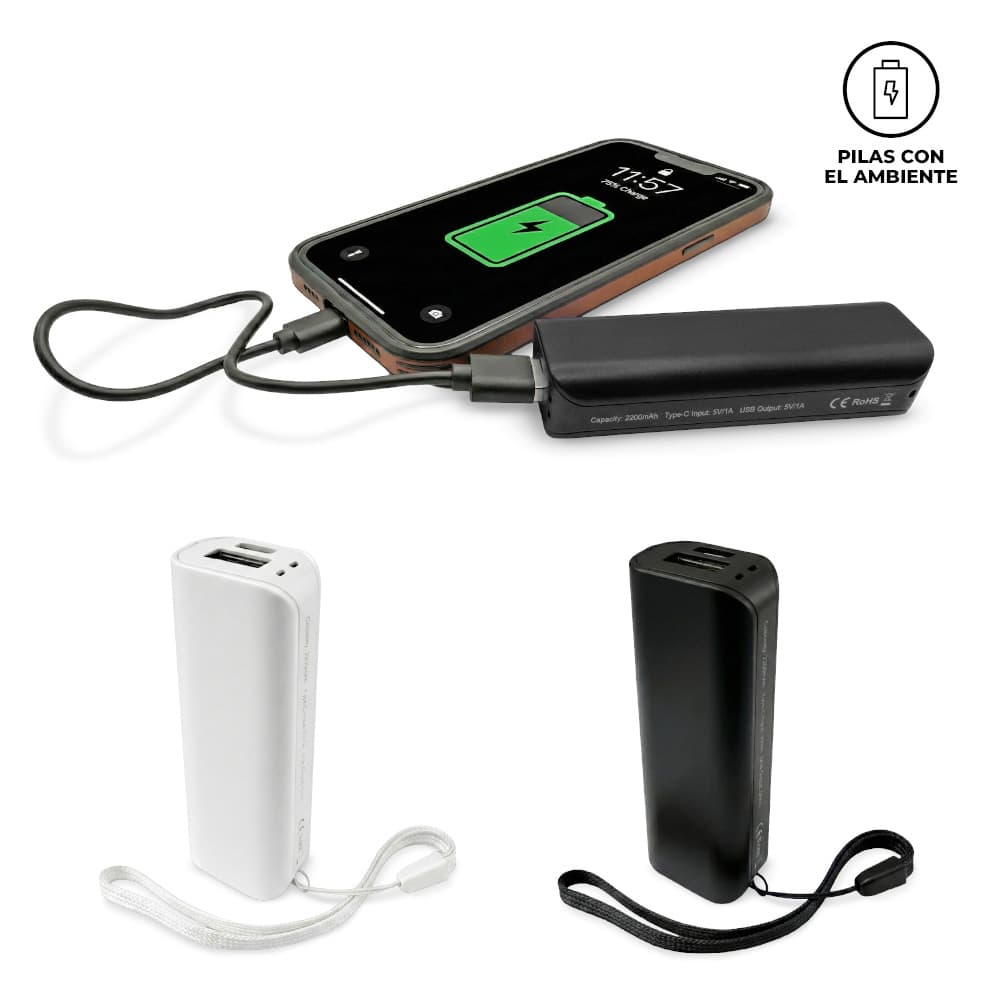 PILA RECARGABLE BYTE 2200 mAh